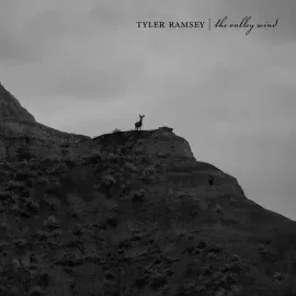 Виниловая пластинка Tyler Ramsey – Tyler Ramsey Релиз 2024