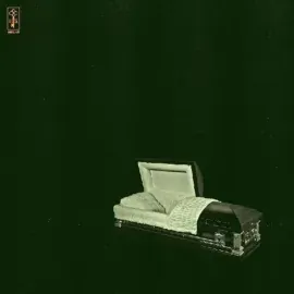 Виниловая пластинка Holy Sons – Raw And Disfigured Sealed