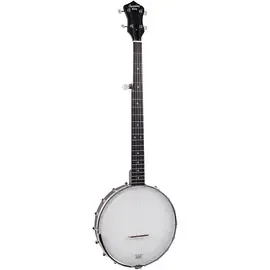 Банджо Recording King Dirty '30s Open Back Tone Ring Banjo