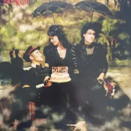 Виниловая пластинка CocoRosie – The Adventures Of Ghosthorse And Stillborn