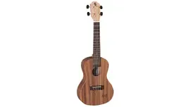 Укулеле концерт Baton Rouge UR11-C Pineapple Konzert-Ukulele | Neu