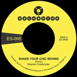 Виниловая пластинка Stephen Colebrooke - Shake Your Chic Behind B/W Stay Away From Music [New 7" Vin