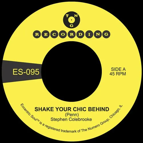 Виниловая пластинка Stephen Colebrooke - Shake Your Chic Behind B/W Stay Away From Music [New 7" Vin