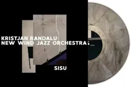 Виниловая пластинка Randalu,Kristjan / N - Sisu - Ltd Grey Marble Vinyl [New Vinyl LP]
