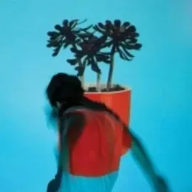 Local Natives - Sunlit Youth NEW Sealed Vinyl LP Album