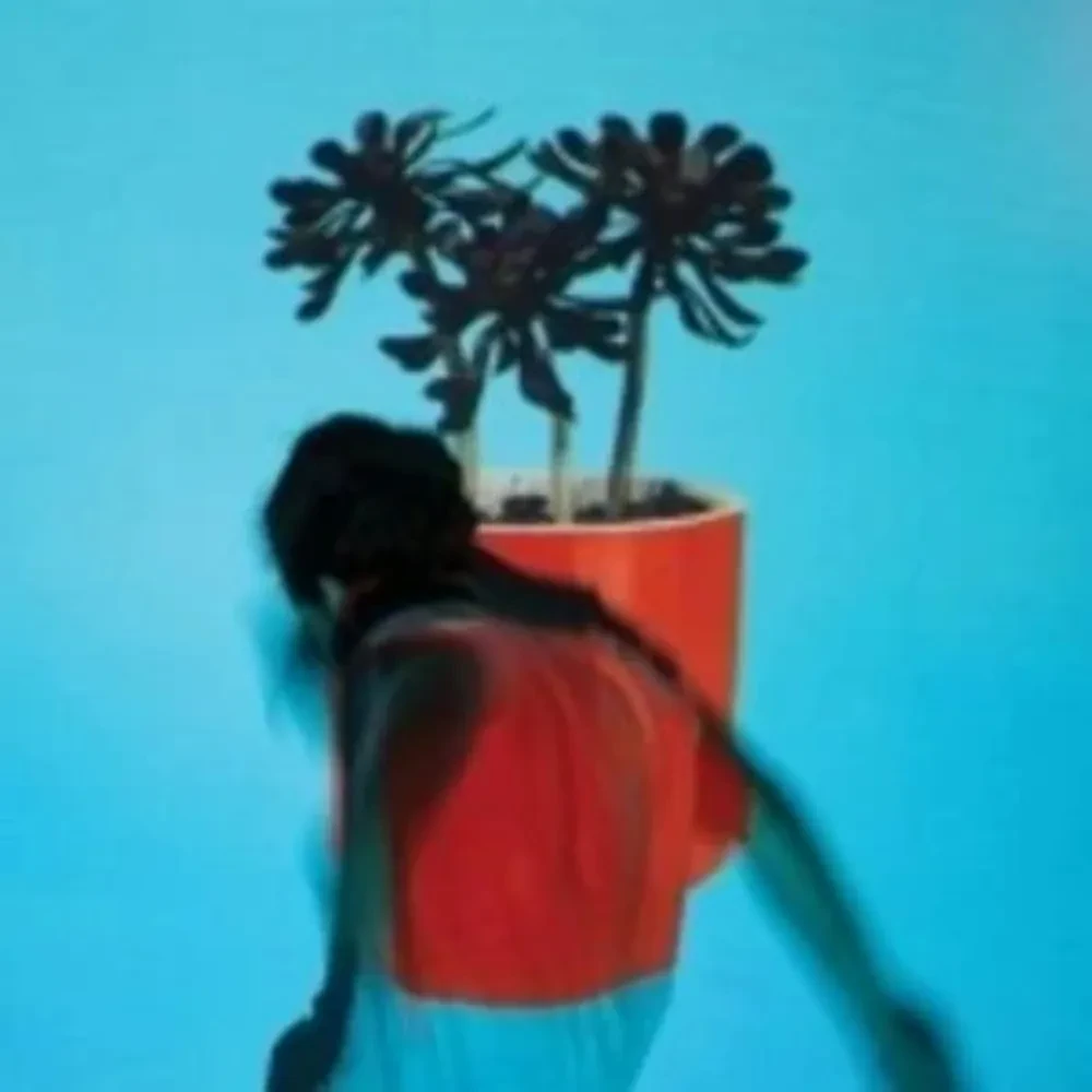 Local Natives - Sunlit Youth NEW Sealed Vinyl LP Album