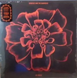 Виниловая пластинка Siouxsie & The Banshees – All Souls