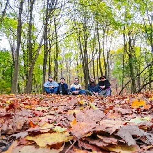 Виниловая пластинка Golden Feather – Golden Feather (Релиз 2024)