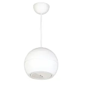 DSP107W Потолочный громкоговоритель, подвесной, 15Вт, DSPPA