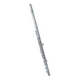 Флейта Pearl Flute Dolce PF-695RBE