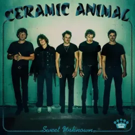 Виниловая пластинка Ceramic Animals – Sweet Unknown Релиз 2022 Sealed
