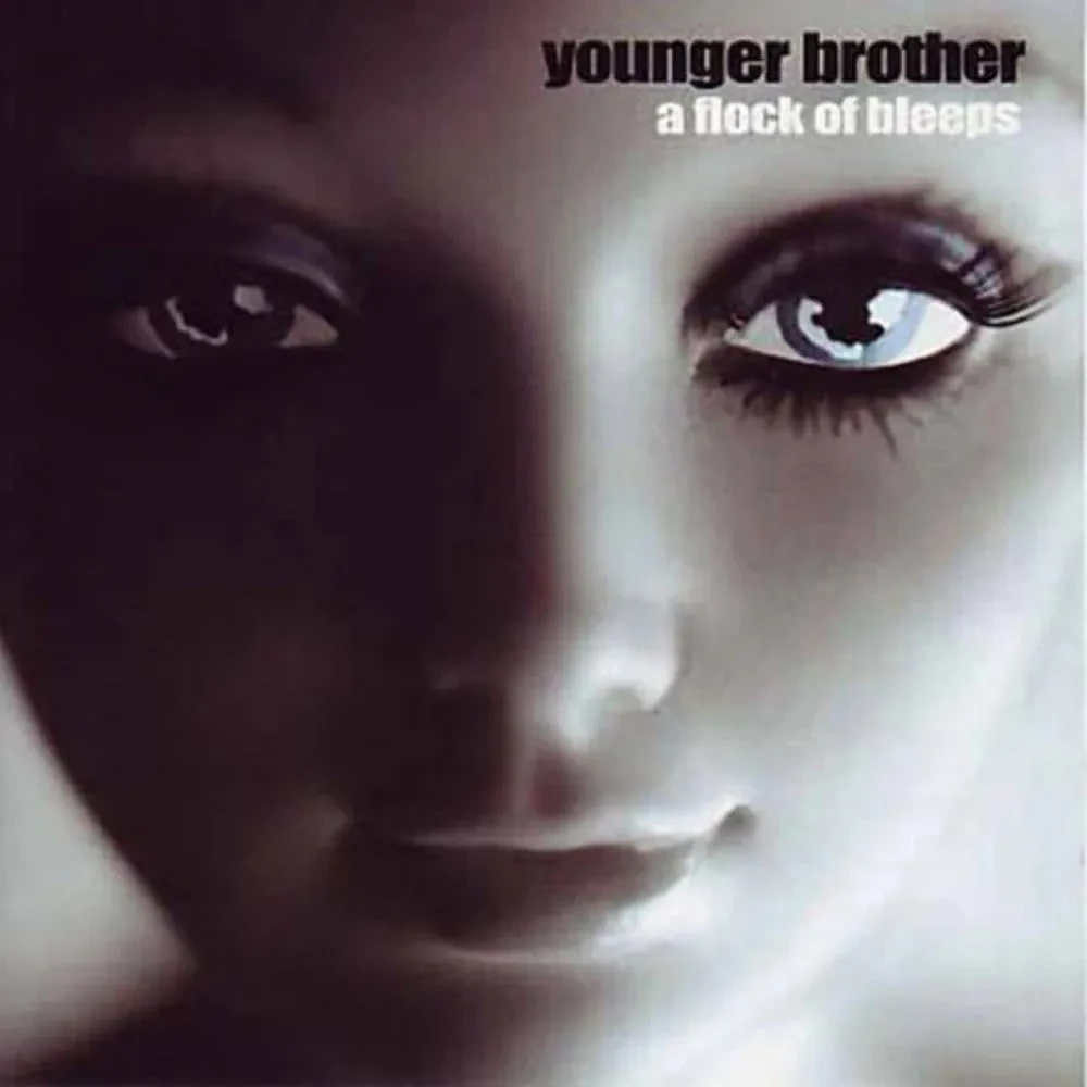 Виниловая пластинка Young Brother – A Flock Of Bleeps (Релиз 2022) Sealed