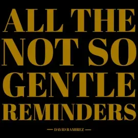 Виниловая пластинка David Ramirez - All The Not So Gentle Reminders [New Vinyl LP]