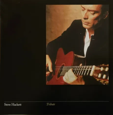 Виниловая пластинка Steve Hackett – Tribute