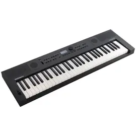 Roland GO:KEYS 5 61-Key Music Creation Keyboard #GOKEYS5-GT