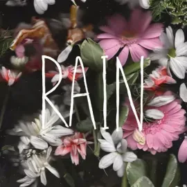 Виниловая пластинка Goodtime Boys - Rain [New Vinyl LP]