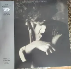 Виниловая пластинка The Waterboys – This Is The Sea