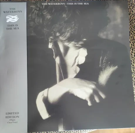 Виниловая пластинка The Waterboys – This Is The Sea