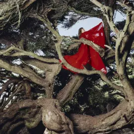Hannah Frances - Nested In Tangles [Red Vinyl] NEW Vinyl