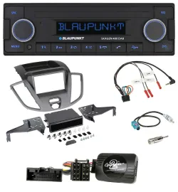 Blaupunkt DAB USB Bluetooth Lenkrad Autoradio für Ford Transit V363 15-18 ohne D
