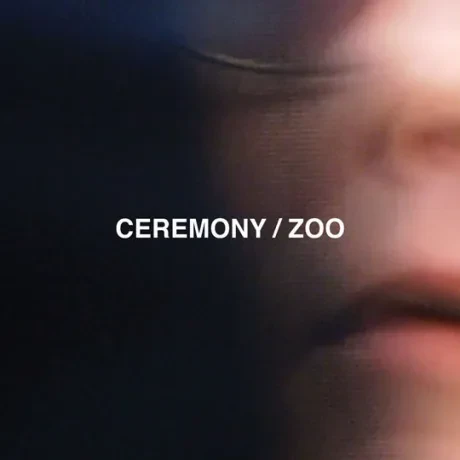 Виниловая пластинка CEREMONY – Zoo