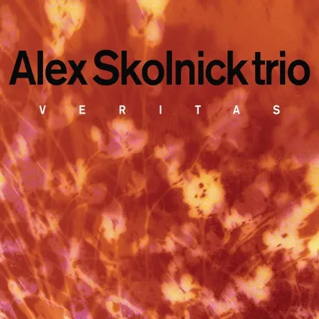 CD-диск Alex Skolnick Trio – Veritas