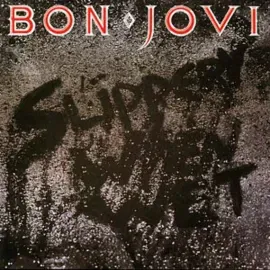 Виниловая пластинка Bon Jovi – Slippery When Wet Sealed