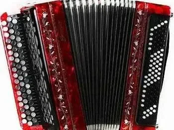 Баян ученический Тульская гармонь BN-40 Этюд-205М2 55х100-II