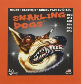 Струны для электрогитары D'Andrea SDN09 Snarling Dogs 9-42