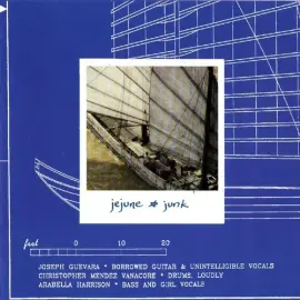 Виниловая пластинка Jejune - Junk [New Vinyl LP]