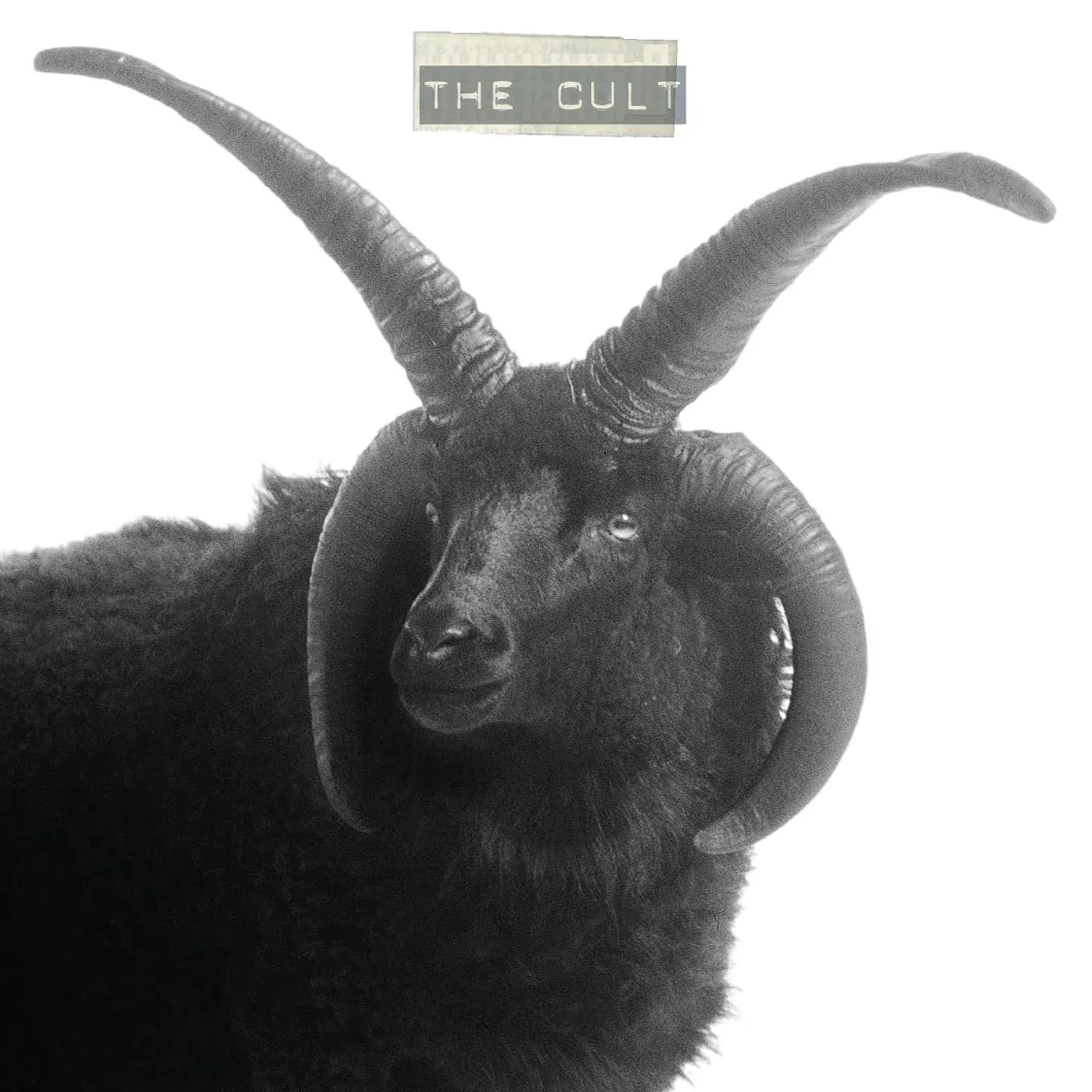 Виниловая пластинка The Cult – The Cult (Релиз 1994) Sealed