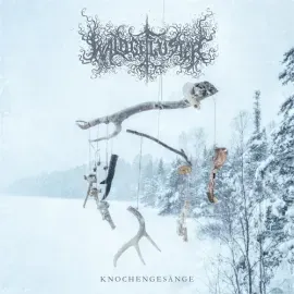 Виниловая пластинка Waldgefluster - Knochengesange [New Vinyl LP]