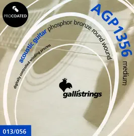 Струны для акустической гитары 13-56 Galli Strings AGP1356