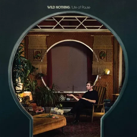 Виниловая пластинка Wild Nothing – Life Of Pause
