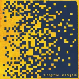 Виниловая пластинка Pinegrove – Marigold, чёрный винил, Sealed