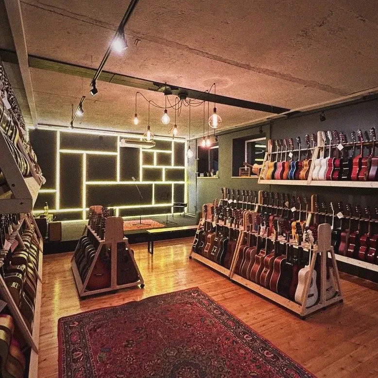 SKIFMUSIC — музыкальный магазин в Краснодаре