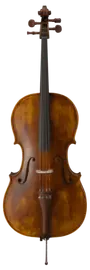 Виолончель Strunal 4/4we-4/4