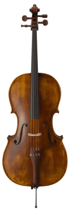 Виолончель Strunal 4/4we-4/4