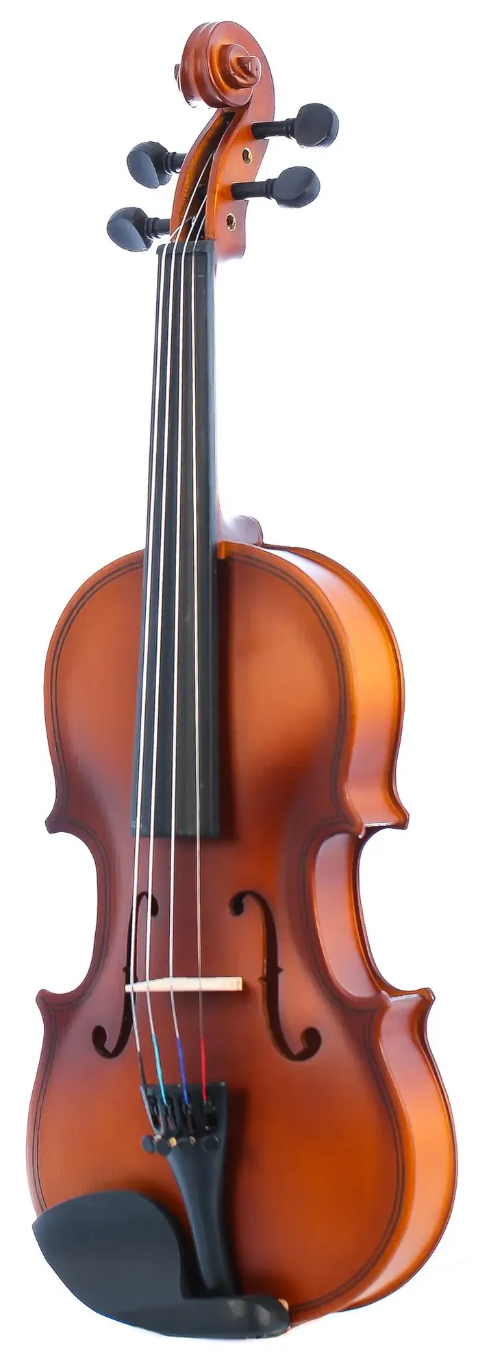 Изображение №2