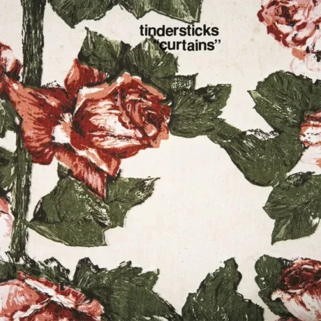 Виниловая пластинка Tindersticks – Curtains (2LP, Expanded Edition)
