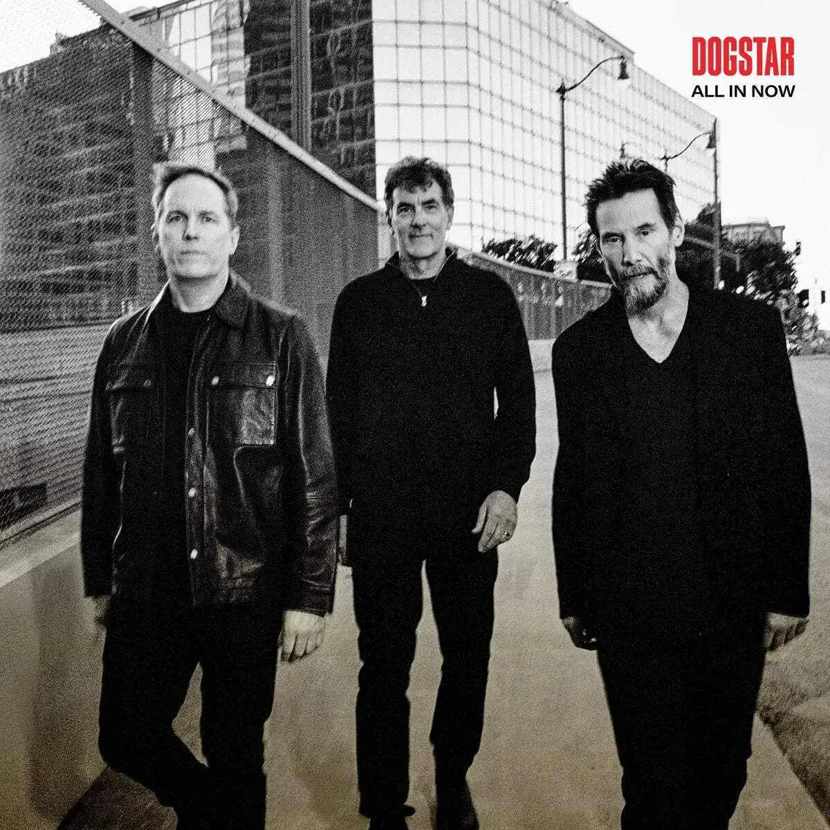 Виниловая пластинка Dogstar – All In Now (Релиз 2026)