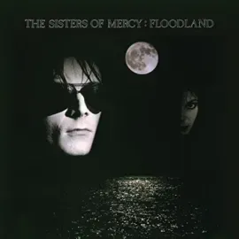 Виниловая пластинка Sisters Of Mercy – Floodland