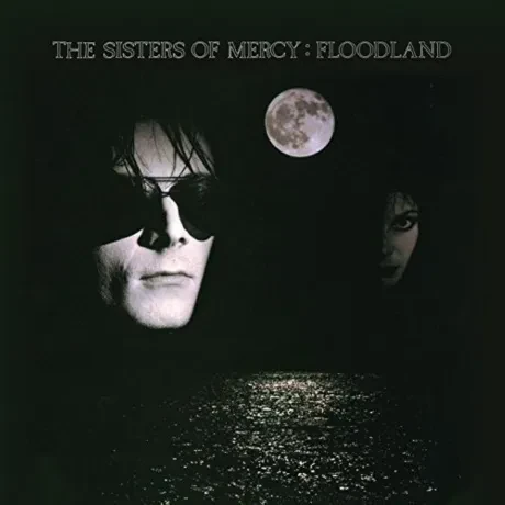 Виниловая пластинка Sisters Of Mercy – Floodland