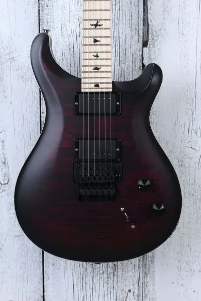 PRS Paul Reed Smith Dustie Waring DW CE 24 Floyd Electric Guitar with Gig Bag