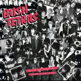 Виниловая пластинка Bush Tetras - Rhythm & Paranoia: The Best of Bush Tetras [New Vinyl LP] With Boo