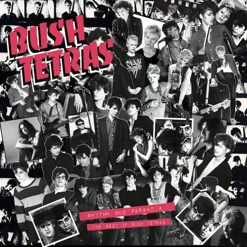 Виниловая пластинка Bush Tetras - Rhythm & Paranoia: The Best of Bush Tetras [New Vinyl LP] With Boo