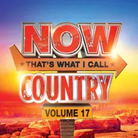 Виниловая пластинка Various – NOW Country 17 2024, оранжевый винил