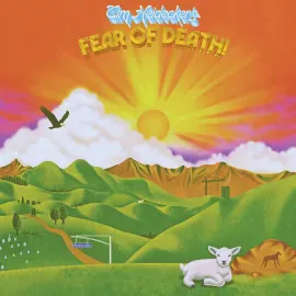 Виниловая пластинка Tim Heidecker – Fear Of Death Релиз 2025