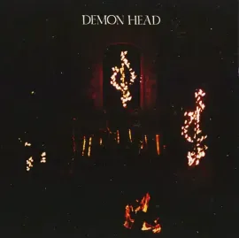 Виниловая пластинка Demon Head – Through Holes Shine the Stars 2024