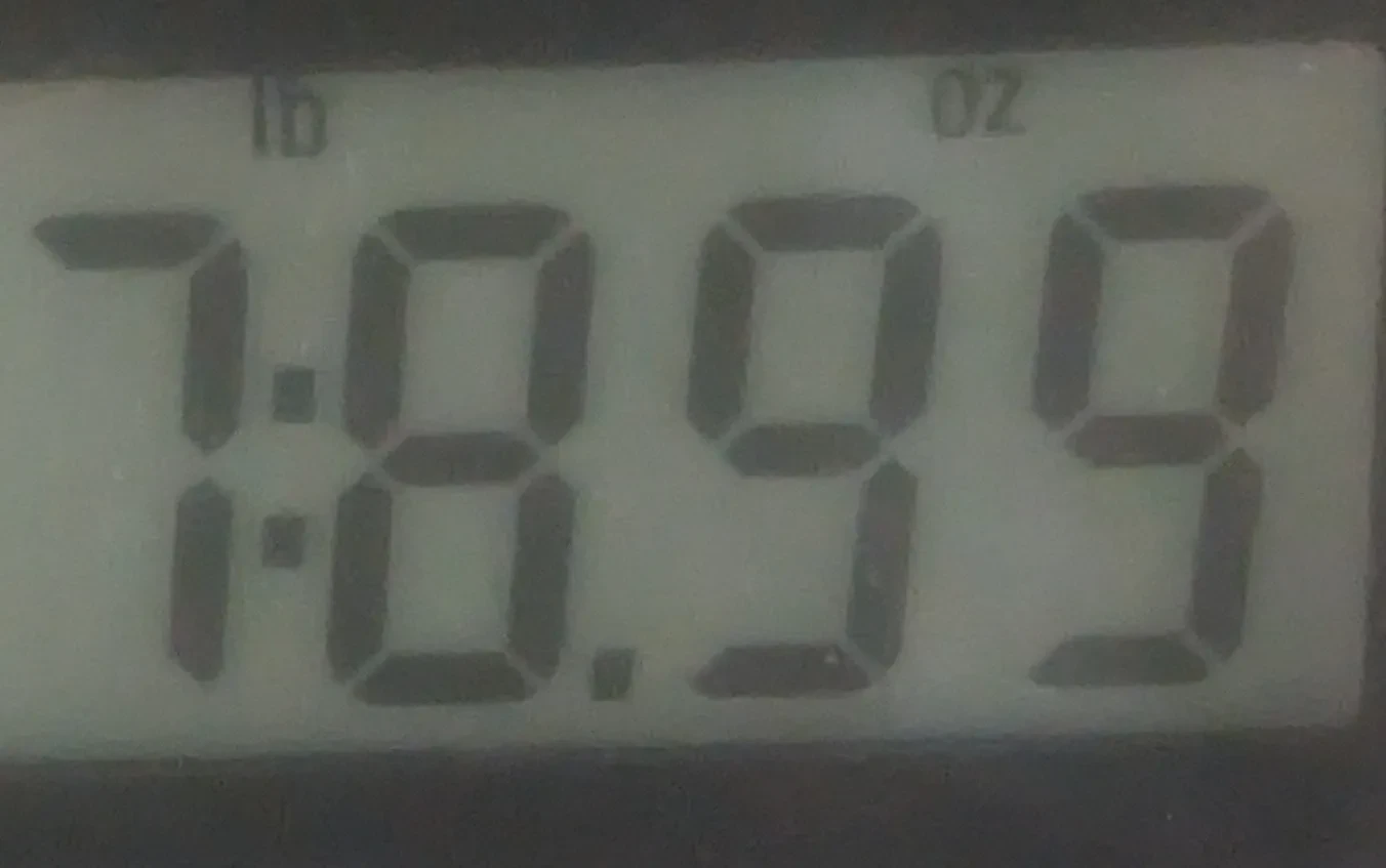 Изображение №2